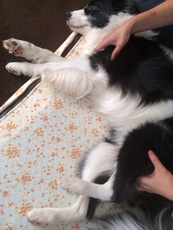 20140916231947d9d.jpg