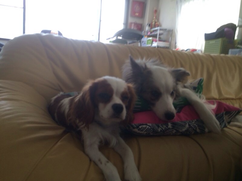 201409162320249e0.jpg
