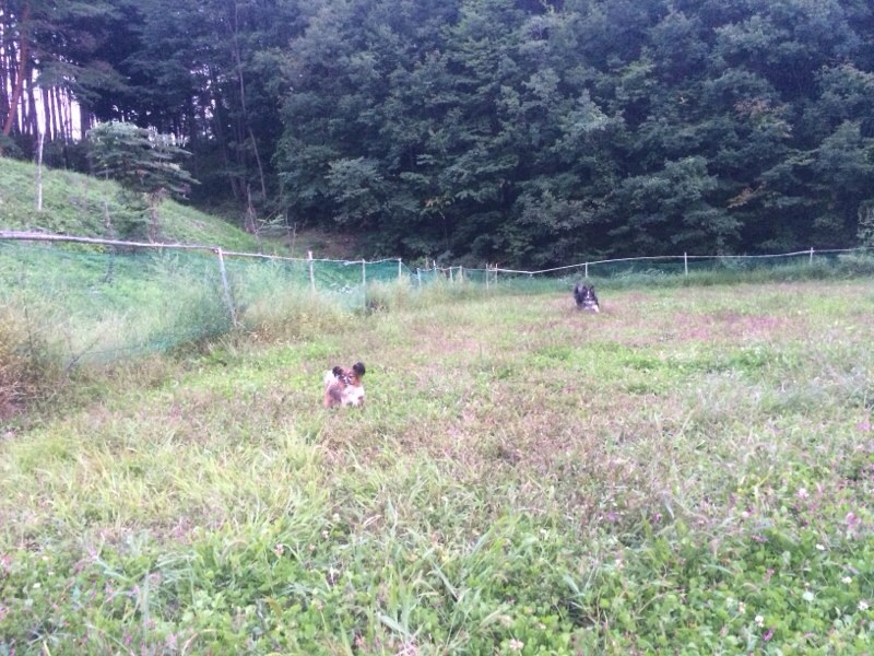 2014091918581548a.jpg