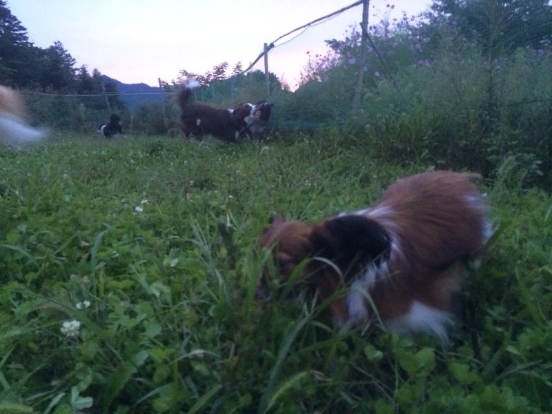 2014091918581737e.jpg