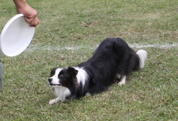IMG_7617--a.jpg
