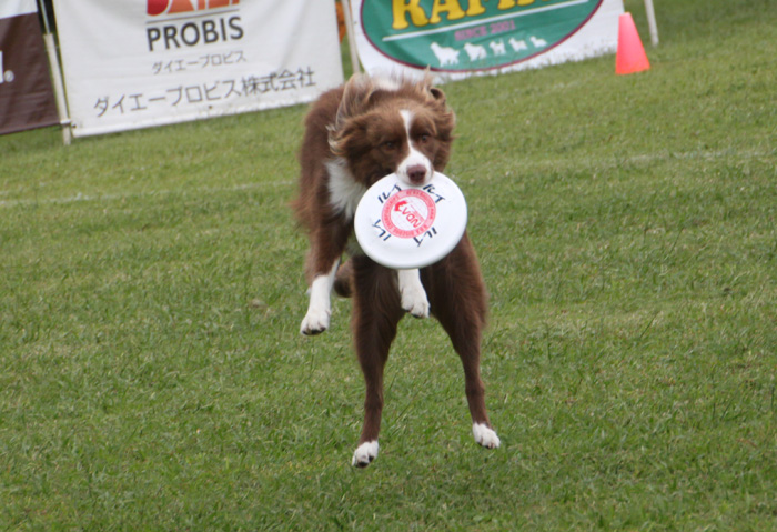 IMG_7650----.jpg