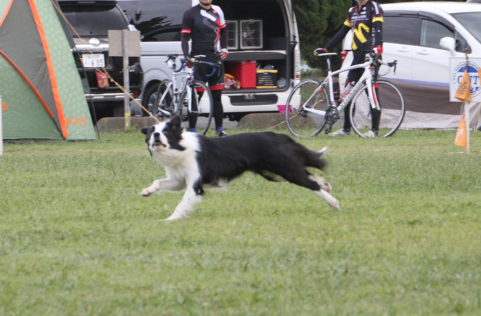 IMG_7750--a.jpg