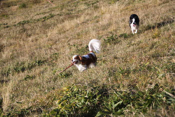 IMG_7886--a.jpg