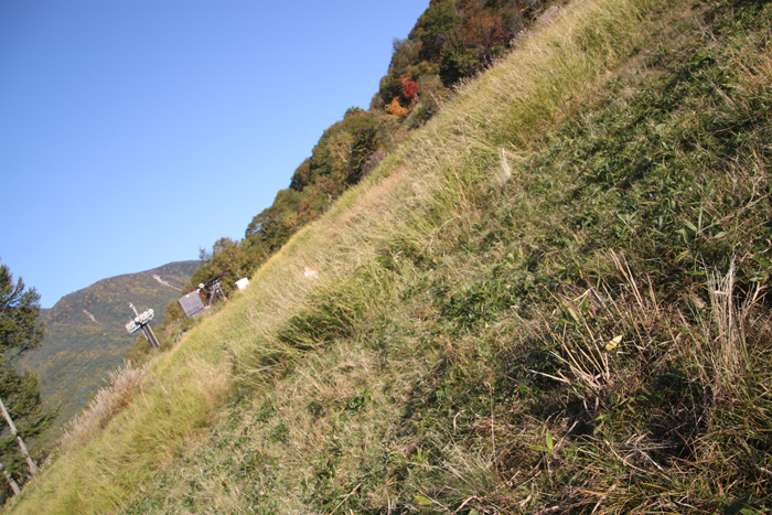 IMG_7899--a.jpg