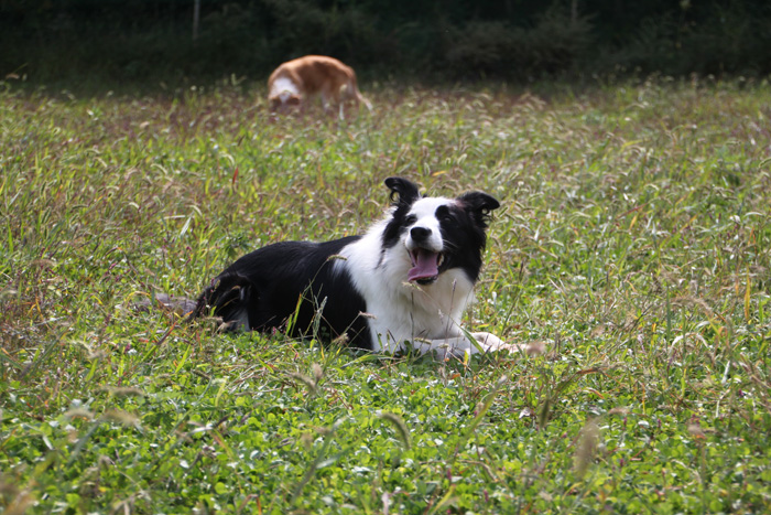 IMG_8127--a.jpg