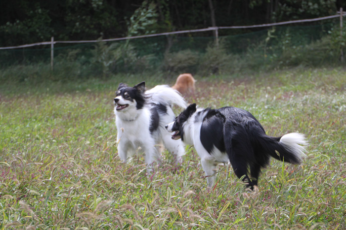 IMG_8139--a.jpg