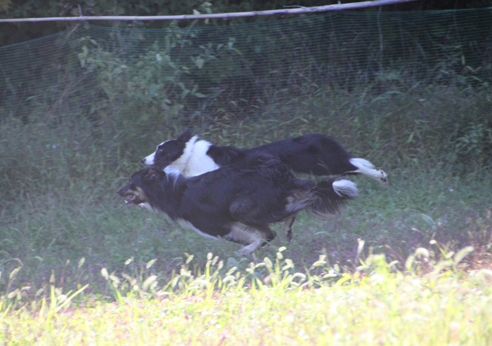 IMG_8254--a.jpg