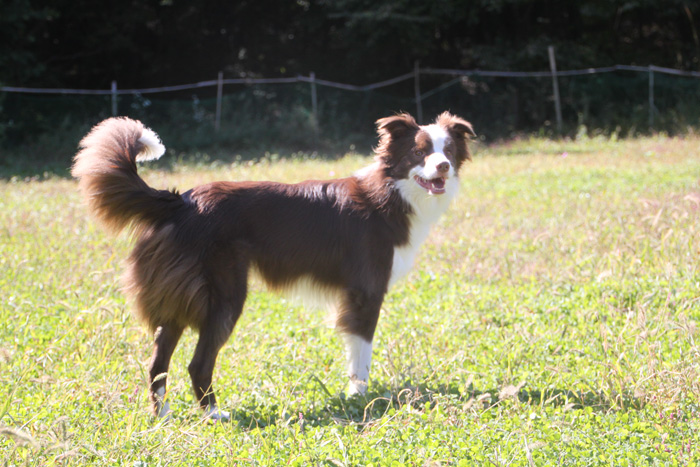 IMG_8297--a.jpg