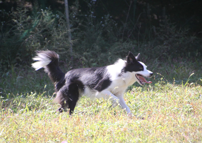 IMG_8310--a.jpg