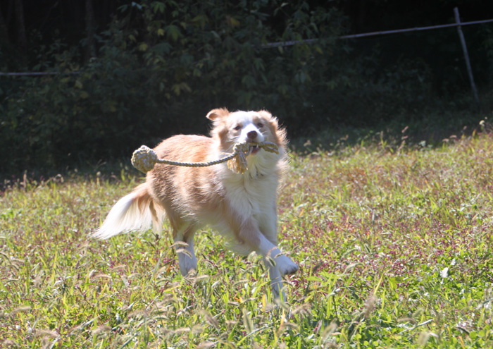 IMG_8325--a.jpg