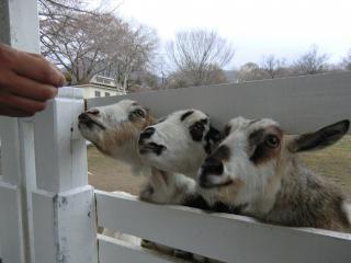 005_20120421185530.jpg