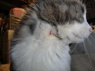 02_20120330002557.jpg