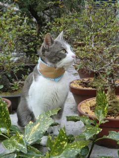 02_20120402000943.jpg