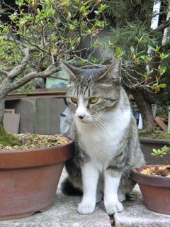 03_20120402000943.jpg