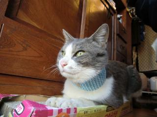 04_20120330002556.jpg