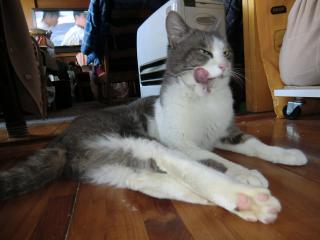 05_20120327215925.jpg