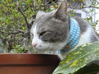 05_20120402000942.jpg
