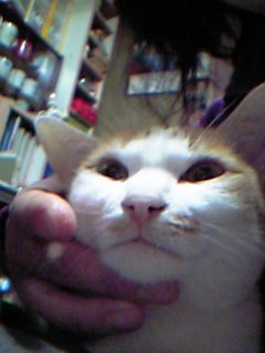 06-01-12_23-23.jpg
