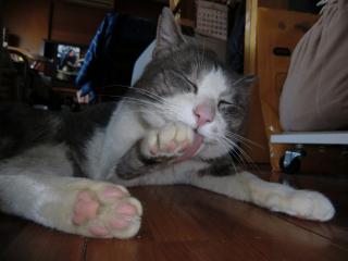07_20120327215926.jpg