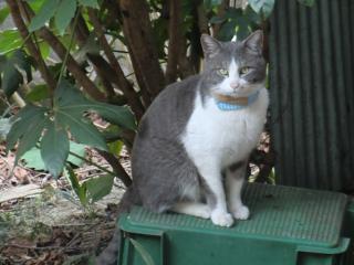 12_20120402001101.jpg