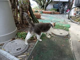 14_20120402001100.jpg
