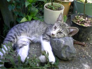 18_20120212163911.jpg
