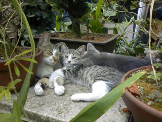 3_20120204162859.jpg
