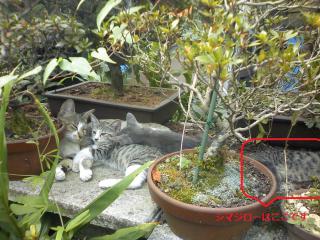 4_20120204162859.jpg