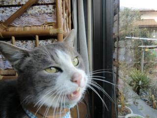a1_20120314015747.jpg