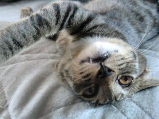 a1_20120409175525.jpg