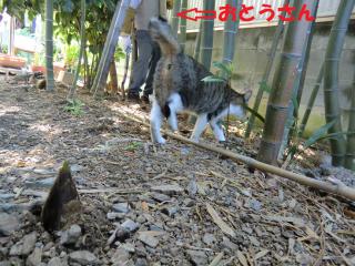 a1_20120429202026.jpg