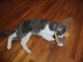 a2_20120321205551.jpg