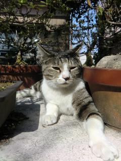 a2_20120405174307.jpg