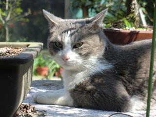 a3_20120406185526.jpg
