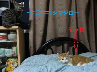 a3_20120411111127.jpg