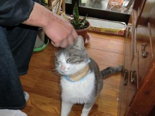 a4_20120314015318.jpg