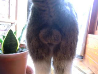 a4_20120321210027.jpg