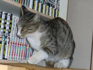 a4_20120430092133.jpg
