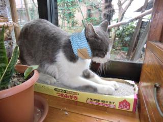 a5_20120314015320.jpg