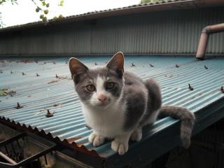 a5_20120430171600.jpg
