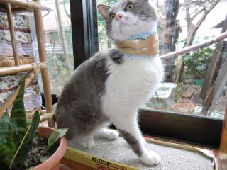 a6_20120314015320.jpg