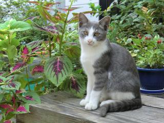 a6_20120411152256.jpg