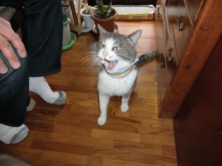 a8_20120314015319.jpg