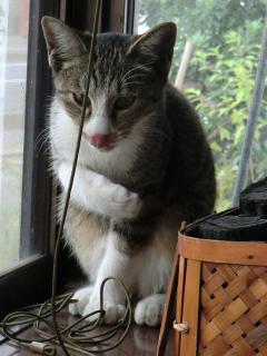 a8_20120430092220.jpg