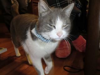 a_20120305235320.jpg