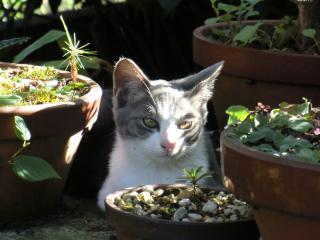 b1_20120406185703.jpg