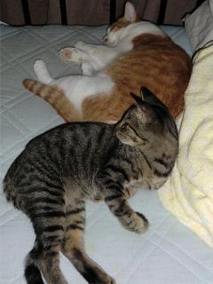 b2_20120411152409.jpg