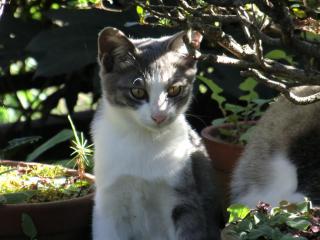 b5_20120406185700.jpg