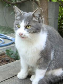 c2_20120430092523.jpg